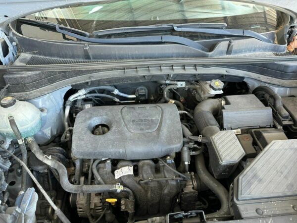 KIA SPORTAGE - immagine 17