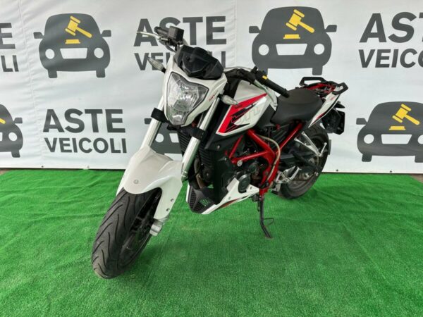 Benelli DN 300 - immagine 7